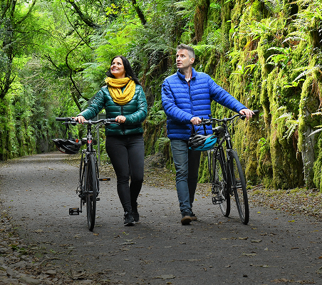 A man and a woman walking with their bicycles along a lush, tree-lined path.