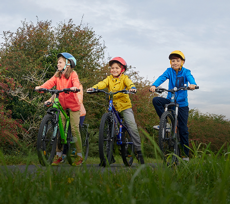 Three children sitting on bicycles on a scenic outdoor trail.
