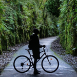 Waterford Greenway Bike Hire | Halloween